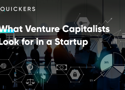 What Venture Capitalists Look for in a Startup